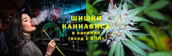 крисы Красноперекопск
