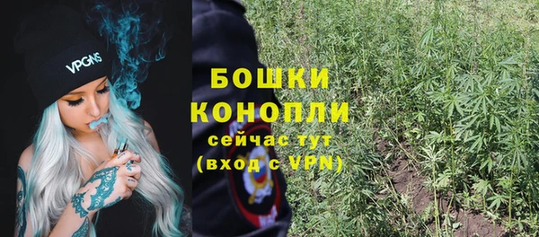 крисы Красноперекопск
